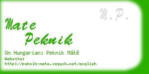 mate peknik business card