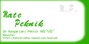 mate peknik business card